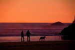 grandparents, walking the dog, dog