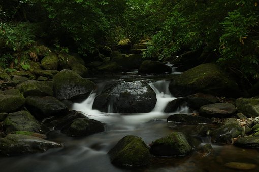 Corriente De Agua, Relajación, Arroyo