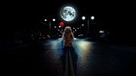 photomanipulation, bear, nature