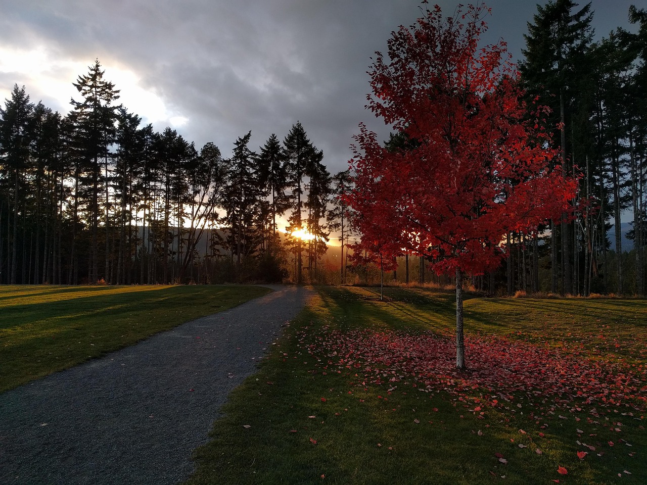 Shawnigan Lake Vancouver Island Free photo on Pixabay Pixabay