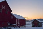 morning, barn, outdoor