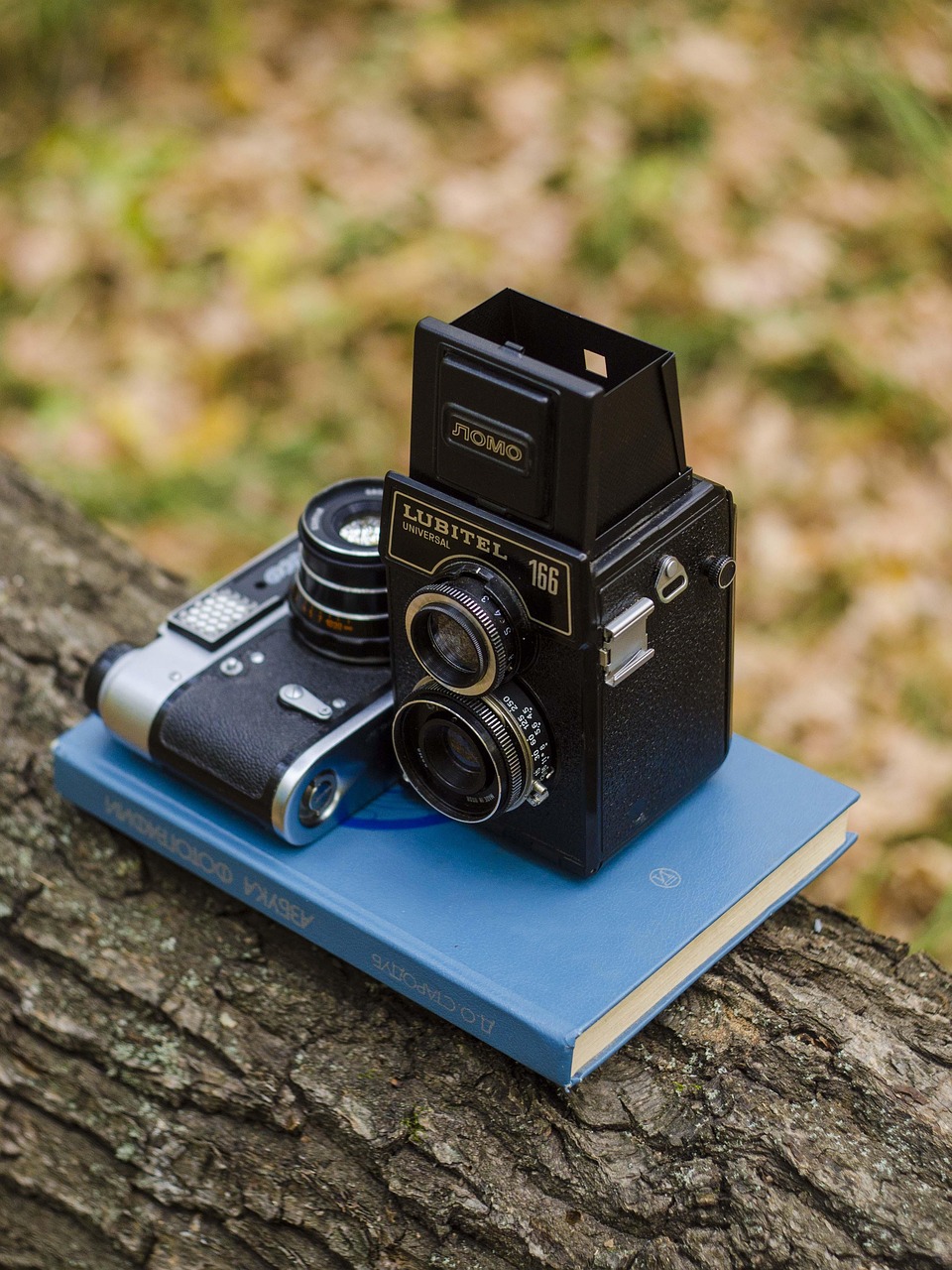 Camera Book Tree - Free photo on Pixabay - Pixabay