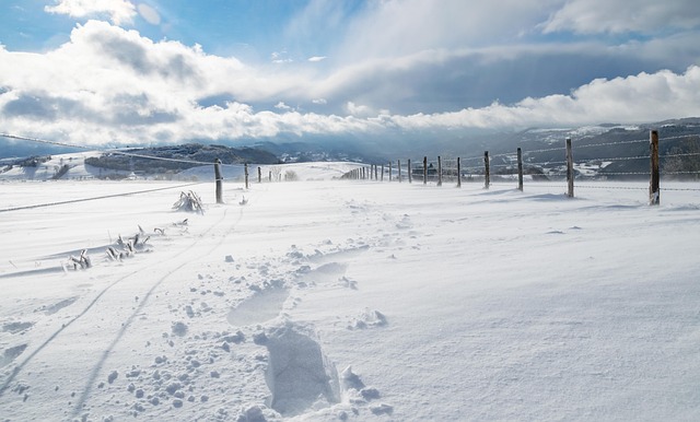 Free Winter Snow photo and picture