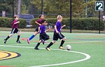 fun, play, soccer