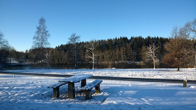 Free Snow Winter photo and picture