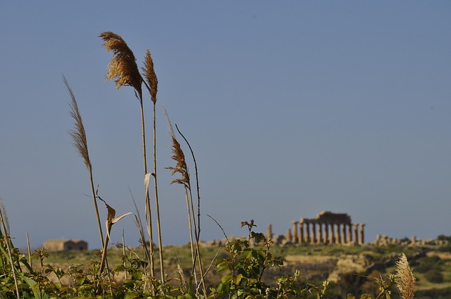 Sicily Temple Summer - Free photo on Pixabay - Pixabay