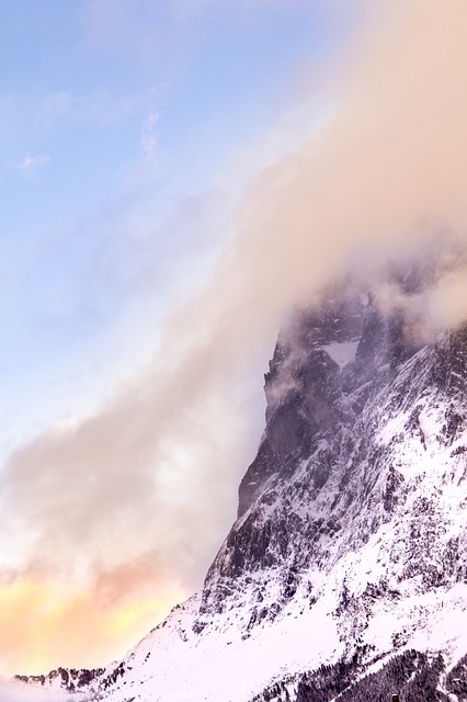 Natur, Sne, Vinter