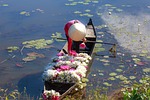 vietnam, the boat, natural