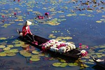 vietnam, the boat, natural