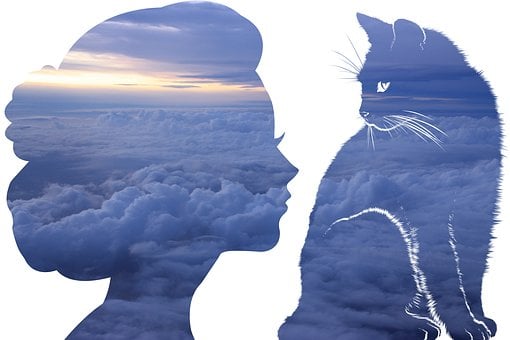 Arte, Gato, Mulher, Animal, Pequeno Gato