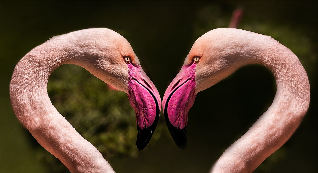 30,000+ Free Pink Signs & Sign Images - Pixabay