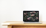 clean, device, digital device