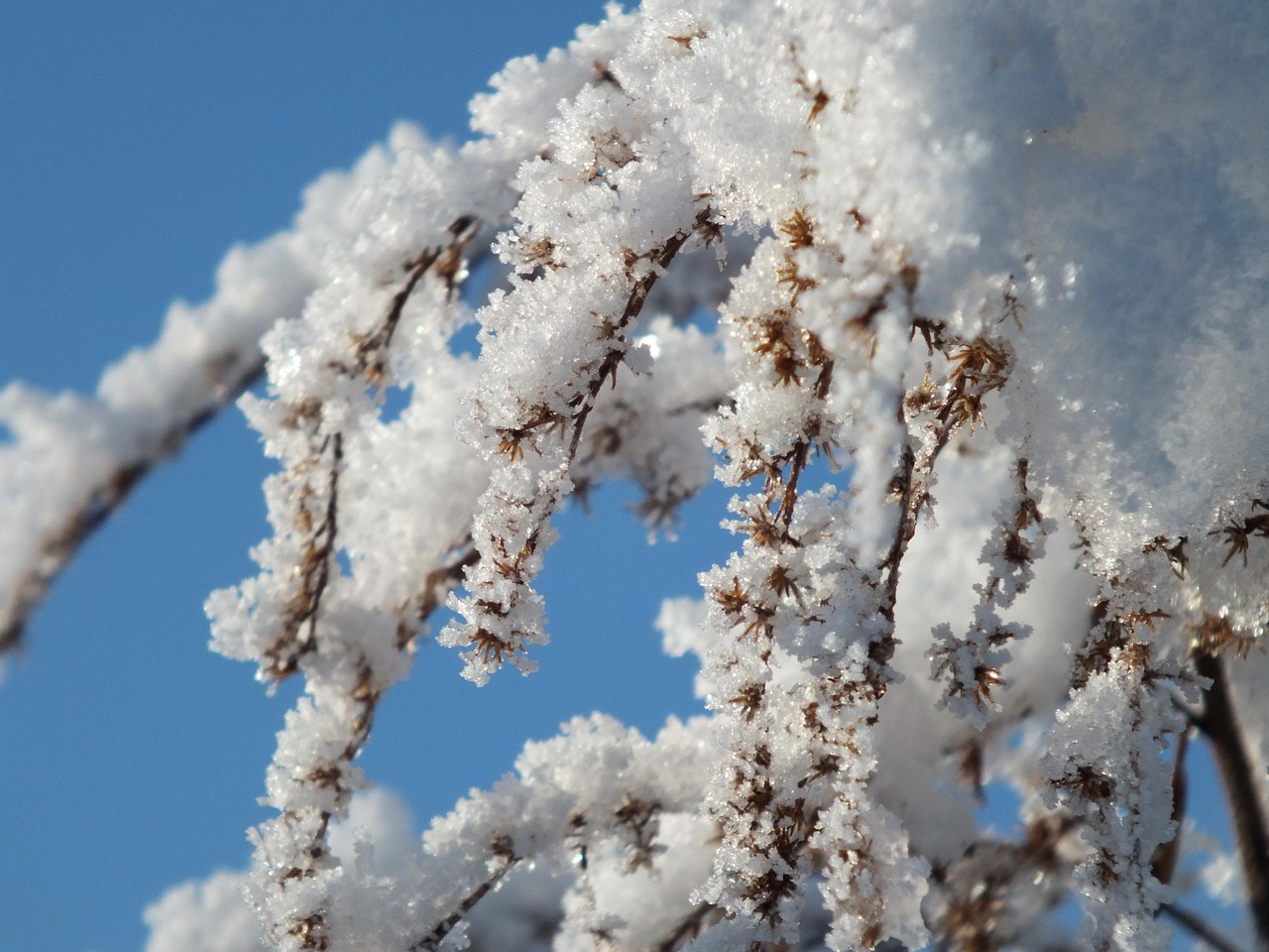 冬天 雪 冰 - Pixabay上的免费照片 - Pixabay