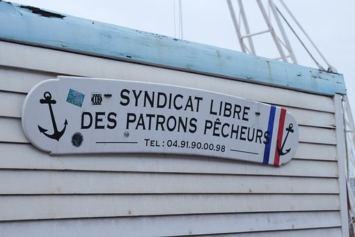 Free Teaches French photo and picture