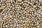 structure, texture, background