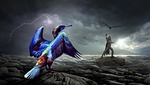 fantasy, bird, human