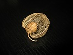 chinese lantern plant, berry, black