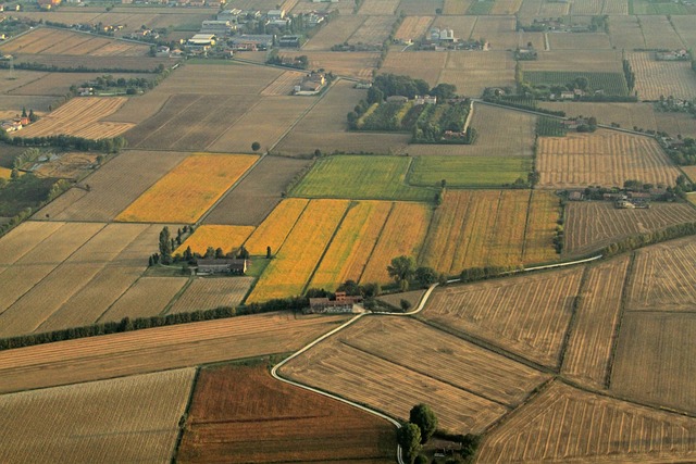 Free Veneto Mosaic photo and picture