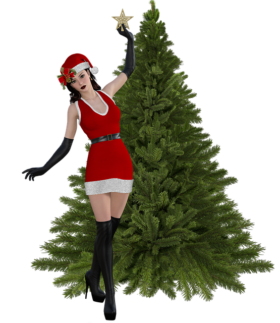 Free christmas feminine hat illustration