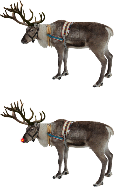 Rensdyr, Rød Næse, Rudolph, Isolerede