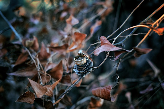 Free Leaf Nature photo and picture