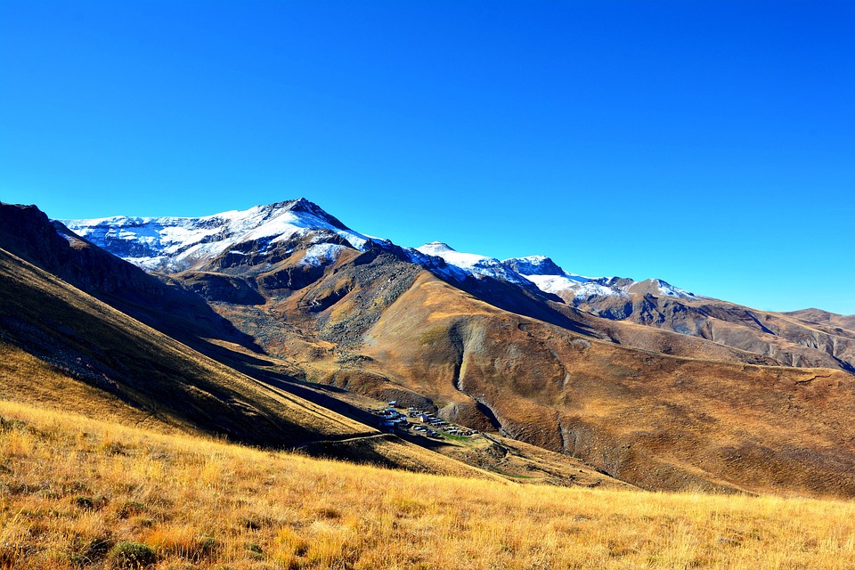nature-3033742_960_720.jpg