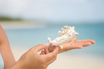 coral, hand, sea