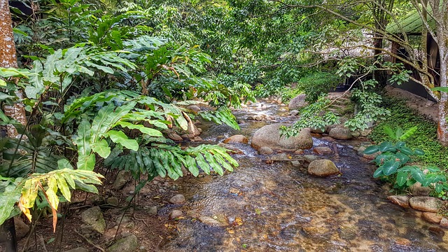 Free Nature Leaf photo and picture