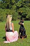 doberman, dog, rose