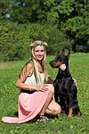 doberman, dog, rose
