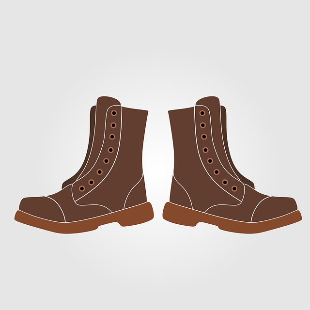 Free fashion shoe footwear vector