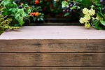 wood-fibre boards, wood, plant
