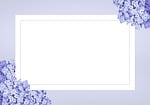 background, gift voucher, coupon
