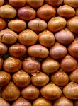 food, seed, game