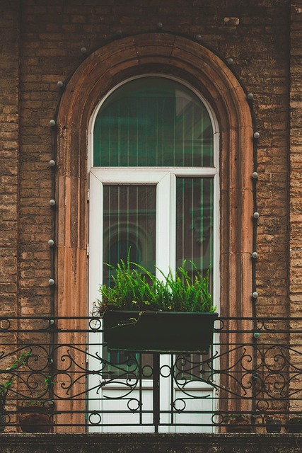 Free Window House photo and picture