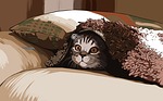 cat, kitten, cute