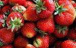 fragaria vesca, fruit, healthy