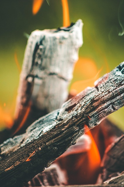 Free Nature Outdoor photo and picture