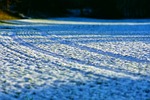 nature, arable, winter