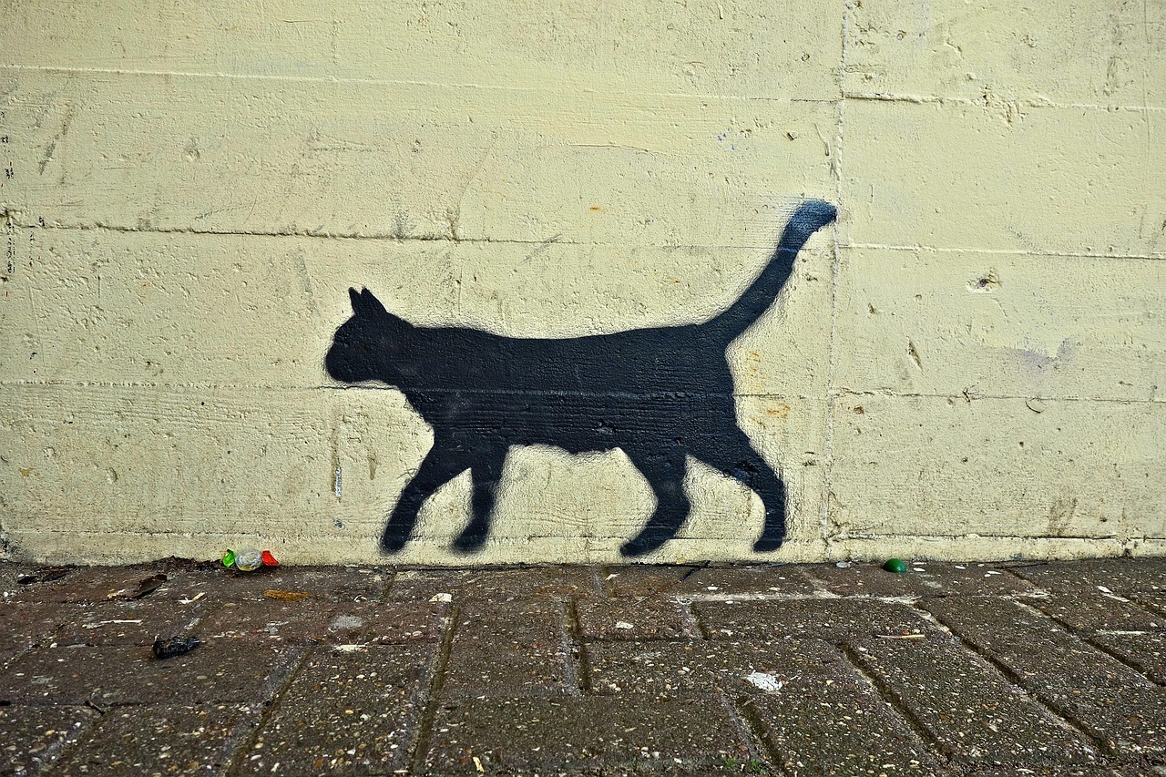 Cat Black Graffiti Street - Free photo on Pixabay