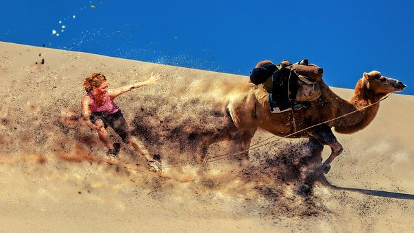 Sport, Poušť, Písek, Cestovat, Velbloud