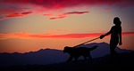 woman, dog, sunset