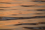 sunset, dawn, water