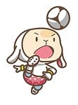funny, cute, the draft