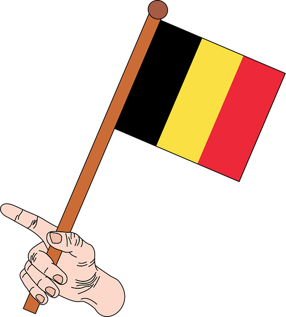 Free flag flag of belgium belgium vector