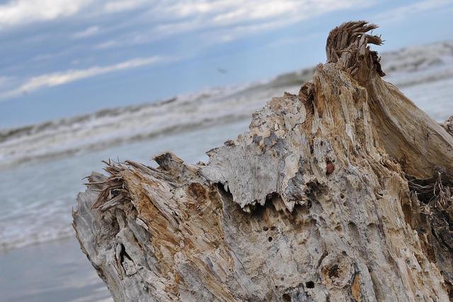 Free Nature Waters photo and picture