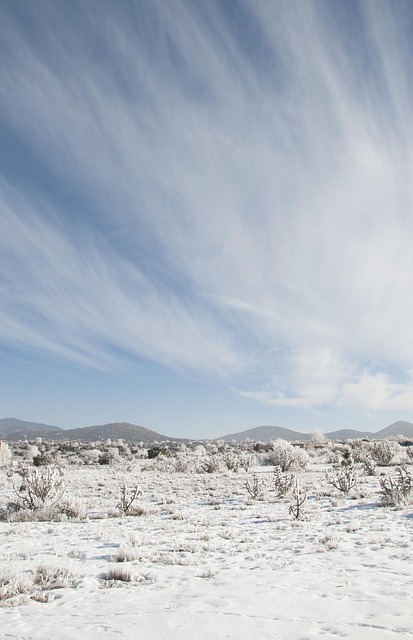 Nature, winter, snow and landscape — photo by JJNEAL