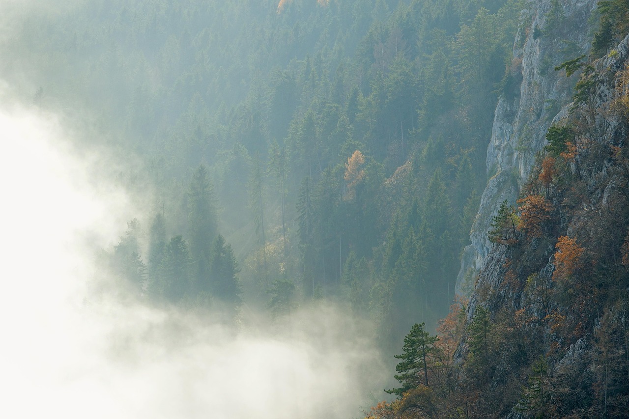 自然 多雾路段 景观 - Pixabay上的免费照片