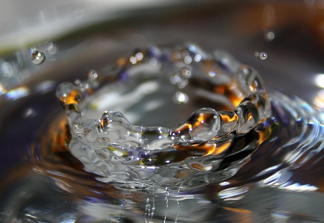 Free Pearl Wet photo and picture