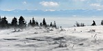 nature, winter, snow